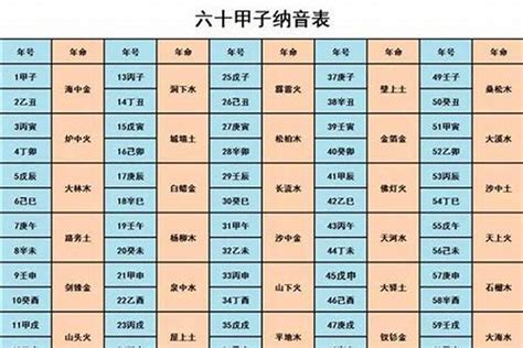 海中金男|八字納音五行解析——海中金